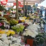 Photo Gallery: Everything is Prepared For the Feast of All Saints 18 all saints