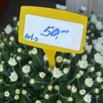 Photo Gallery: Everything is Prepared For the Feast of All Saints 15 all saints