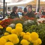 Photo Gallery: Everything is Prepared For the Feast of All Saints 13 all saints