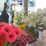 Photo Gallery: Everything is Prepared For the Feast of All Saints 12 all saints