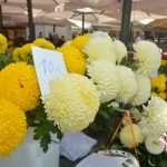 Photo Gallery: Everything is Prepared For the Feast of All Saints 6 all saints