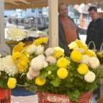 Photo Gallery: Everything is Prepared For the Feast of All Saints 9 all saints