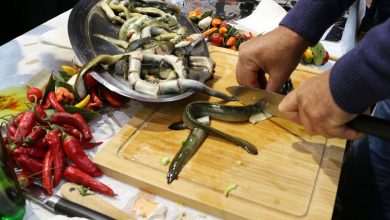 Days of eels neretva