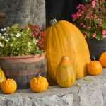 The Stories from Salacki Komini: Fireplaces as a meeting place 22 salacki komini 17