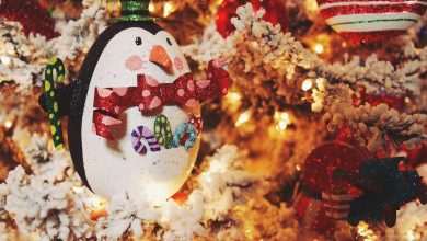 Orlandino - Another Winter Festival starts Tomorrow! 1 Christmas/pixabay