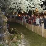 Thousands Lights to Celebrate the Meaning of Christmas 3 nativity st michael