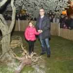 Thousands Lights to Celebrate the Meaning of Christmas 12 nativity st michael