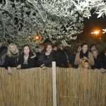 Thousands Lights to Celebrate the Meaning of Christmas 13 nativity st michael