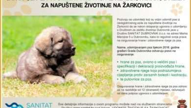 Adopt a Dog! Get a Free Dog Food and Health Care 25 Sanitat javni poziv udomljavanje 555x365