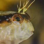 noc muzeja prirodoslovni32