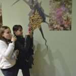 noc muzeja prirodoslovni33