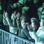 The Party Continues: Dubrovnik Danced the Night Away 17 stavros 4