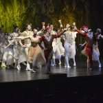 Photo: Enchanting 'Swan Lake' Ballet in Dubrovnik 11 SwanLake 100