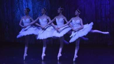 Photo: Enchanting 'Swan Lake' Ballet in Dubrovnik 2 SwanLake 21