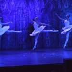 Photo: Enchanting 'Swan Lake' Ballet in Dubrovnik 106 SwanLake 5