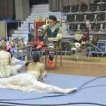 Photo: Enchanting 'Swan Lake' Ballet in Dubrovnik 59 SwanLake 52