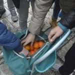 PHOTO / VIDEO Procession and 'Tombula' in Honor of the Patron! 20 tombula 7