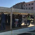 Photo Gallery: Ston Oyster Day 2016! 3 kamenice ston 2016 1