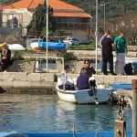 Photo Gallery: Ston Oyster Day 2016! 4 kamenice ston 2016 2