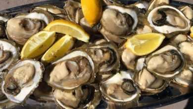 Heading to Stradun this Saturday: We Just Can't Get Enough of These Oysters 2 kamenice ston 2016 9