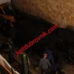 Photo Gallery: Behind the Scenes of Star Wars! 16 star wars ratovi zvijezda pripreme 020316 13