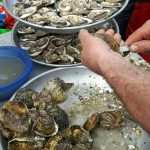 20160402 102145 resized