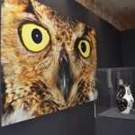 Picasso Keramika Visia 45