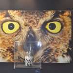 Picasso Keramika Visia 9