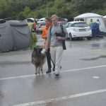 Photo Gallery: More Than 800 Dogs From Three Continents Gathered in Dubrovnik 28 cacib psi002