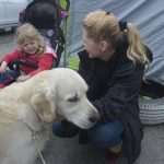 Photo Gallery: More Than 800 Dogs From Three Continents Gathered in Dubrovnik 27 cacib psi005