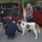 Photo Gallery: More Than 800 Dogs From Three Continents Gathered in Dubrovnik 22 cacib psi021