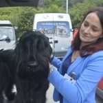 Photo Gallery: More Than 800 Dogs From Three Continents Gathered in Dubrovnik 23 cacib psi023