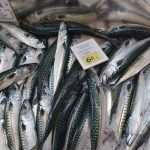 Dubrovnik Fish Market