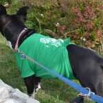 Photo Gallery: Charity Eco Cross Nearby Dubrovnik! 50 Charity Eco Cross in Zupa 50