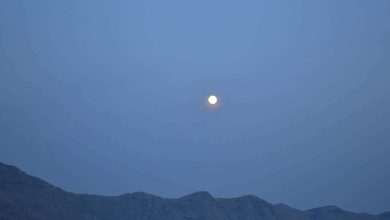 Today is Friday 13th! Read Some of the Most Popular Superstitions in Croatia 7 Full Mood Superstitions