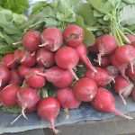 Living Healthly: Photo Gallery from our Fish and Green Market! 12 Green And Fish Market Dubrovnik 11