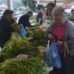 Living Healthly: Photo Gallery from our Fish and Green Market! 11 Green And Fish Market Dubrovnik 12