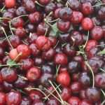 Living Healthly: Photo Gallery from our Fish and Green Market! 7 Green And Fish Market Dubrovnik 16