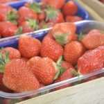 Living Healthly: Photo Gallery from our Fish and Green Market! 4 Green And Fish Market Dubrovnik 19