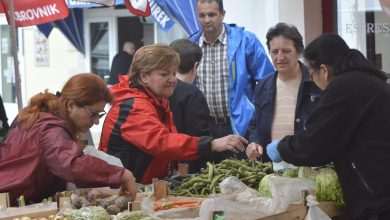 Living Healthly: Photo Gallery from our Fish and Green Market! 1 Green And Fish Market Dubrovnik 23