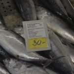 Living Healthly: Photo Gallery from our Fish and Green Market! 19 Green And Fish Market Dubrovnik 4