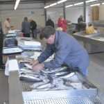 Living Healthly: Photo Gallery from our Fish and Green Market! 17 Green And Fish Market Dubrovnik 6