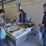 Living Healthly: Photo Gallery from our Fish and Green Market! 15 Green And Fish Market Dubrovnik 8