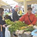 Living Healthly: Photo Gallery from our Fish and Green Market! 14 Green And Fish Market Dubrovnik 9