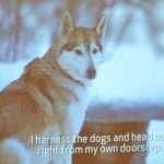 Saami Pupils id Dubrovnik 11