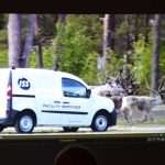 Saami Pupils in Dubrovnik 49