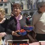 Photo Gallery: Strawberries from Ston Will Satisfy Any Sweet Tooth! 6 Ston Strawberries 7