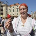 Photo Gallery: Strawberries from Ston Will Satisfy Any Sweet Tooth! 5 Ston Strawberries 8