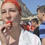 Photo Gallery: Strawberries from Ston Will Satisfy Any Sweet Tooth! 4 Ston Strawberries 9