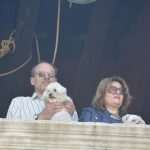 Photo Gallery: Sunny Day, Lots of People, Some Music And Couple of Dogs 26 Sunny Day 2016 7